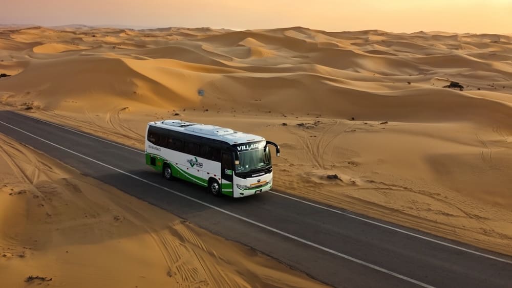 Unidades de transporte turístico profesional