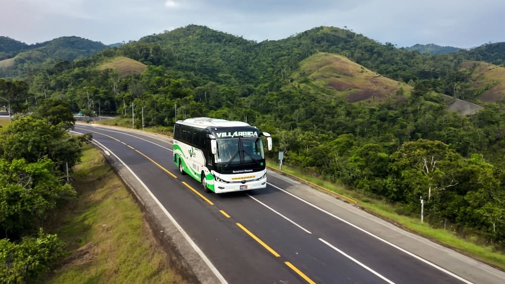 Unidades de transporte turístico profesional